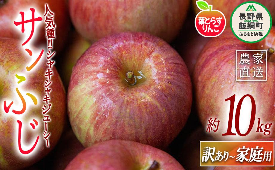 りんご 葉とらず サンふじ 家庭用 〜 訳あり 10kg フレッシュフルーツミカズキ 2025年11月下旬頃から2026年1月下旬頃まで順次発送予定 令和7年度収穫分 傷 不揃い リンゴ 林檎 果物 フルーツ 信州 長野 28500円 予約 農家直送 長野県 飯綱町 [1669]
