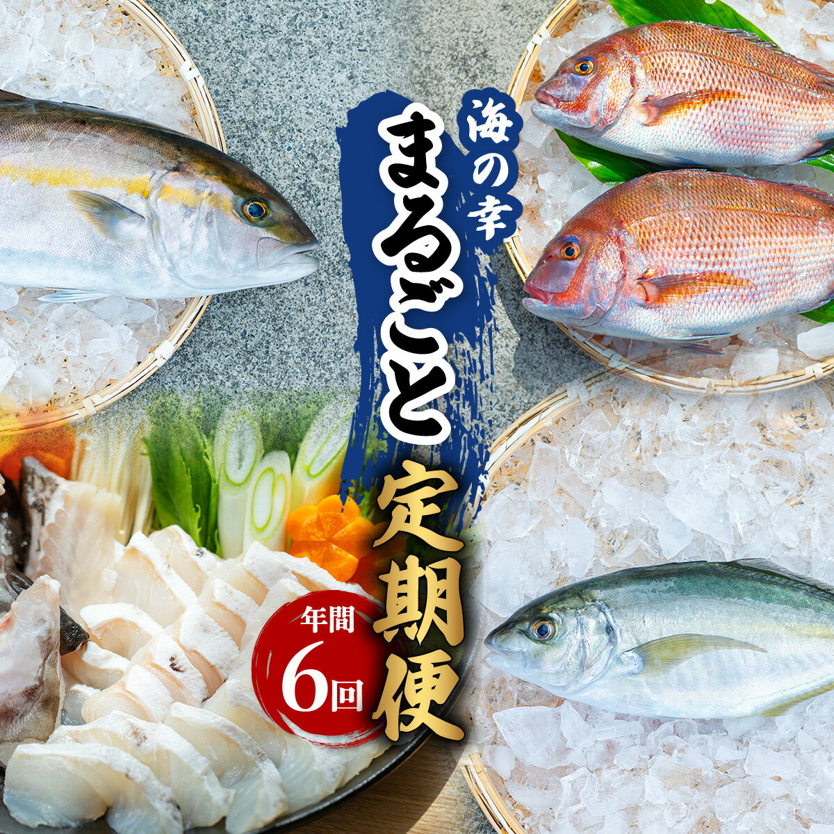 【ふるさと納税】【定期便全6回】海の幸まるごと定期便 クエ くえ クエ鍋 タイ たい 鯛 カンパチ かんぱち 勘八 シマアジ しまあじ 伊勢海老 いせえび イセエビ