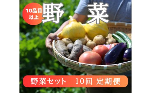 【定期便10回】注文が来てから収穫発送！収穫したばかりの新鮮野菜セット 《10品以上保証》 季節のお野菜 おまかせ お楽しみ 獲れたて産地直送 旬 春野菜 ベジタブル ヘルシー 健康 詰め合わせ 一関市