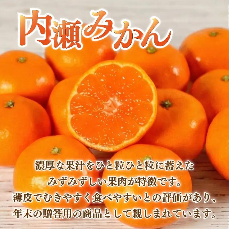 先行予約 内瀬みかん 約7.5kg アサヒ農園 / みかん 