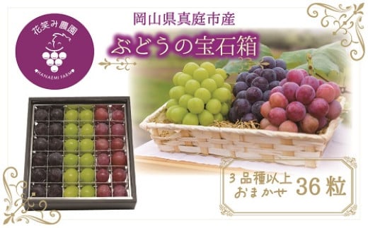【2026年先行予約】花笑み農園　岡山『ぶどうの宝石箱』３種以上（36粒入り） 【hana051-02】