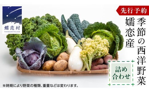
            【 7月中旬以降発送開始 】 嬬恋産 季節の 西洋野菜 詰め合わせ 先行予約 2026年発送 産地直送 野菜 野菜セット 旬の野菜 産地直送 期間限定 通販 お取り寄せ 関東 群馬 出荷時期限定 [AG001tu]
          