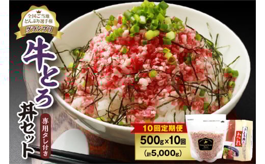 【10回定期便】人気の牛とろ丼セット 500g 専用タレ付き_S006-0174