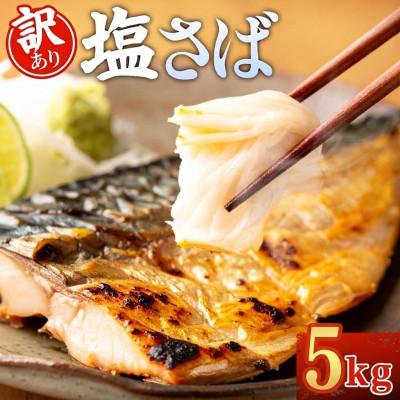 ふるさと納税 羽島市 【訳あり】ノルウェー産　塩さば　フィレ　約5kg