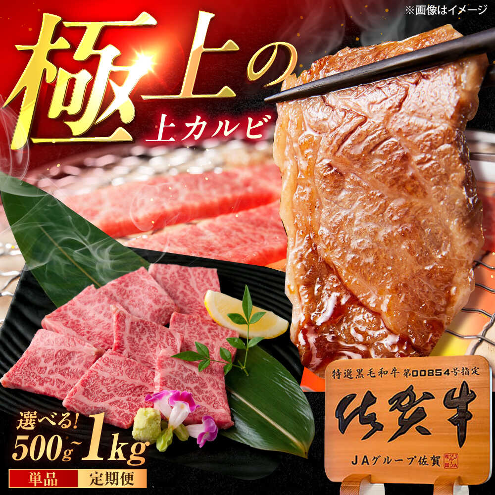 【ふるさと納税】【選べる内容量】佐賀牛 上カルビ 焼肉用 500g / 1kg（500g×2p） /MKミート武雄[UEM049]佐賀牛 上カルビ 焼肉用 和牛 黒毛和牛 BBQ バーベキュー 牛肉 霜降り A5ランク おうち焼肉 キャンプ アウトドア 高級 ギフト 贈答用 ご褒美 贅沢 柔らかい ジューシー