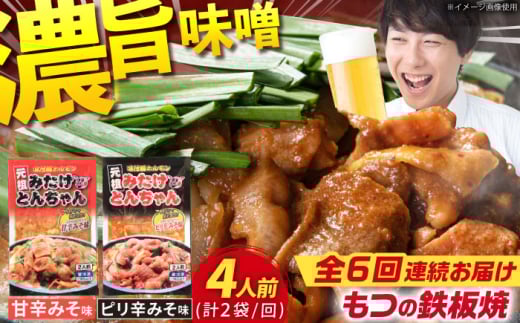 【6回定期便】岐阜県産豚もつの鉄板焼き「元祖みたけとんちゃん」甘辛＆ピリ辛 各1袋（4人前） / モツ もつ 白もつ ホルモン / 御嵩町 / 藤よし [AVAA013]