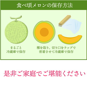 北海道石狩産 赤果肉メロン1玉 計1.6kg以上｜メロン フルーツ 果物 北海道 石狩市