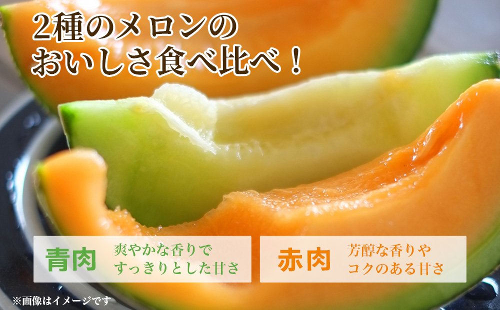 糖度15度以上 !! 宇陀市産 選べる組み合わせ！よくばりメロ