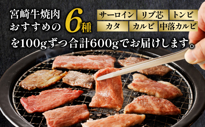 宮崎牛 焼肉食べ比べ6種盛 600g