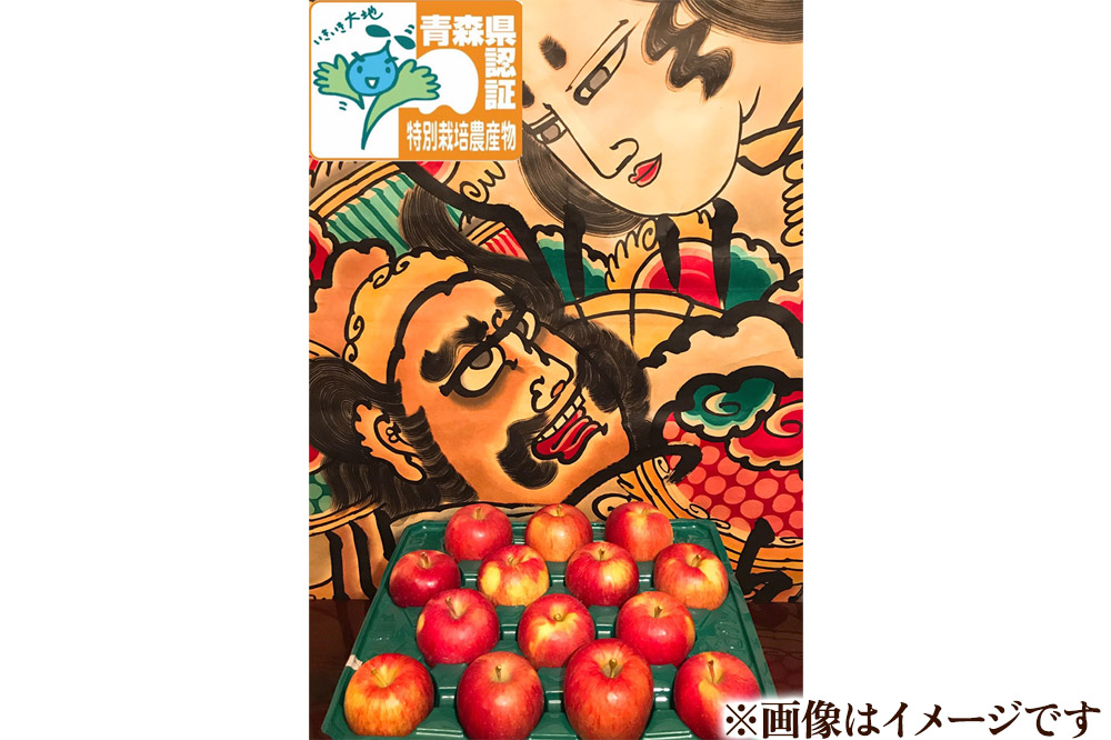 りんご 訳あり家庭用【年明け発送】葉取らず サンふじ 約3kg（8～12玉程度）青森県特別栽培農産物認証農園