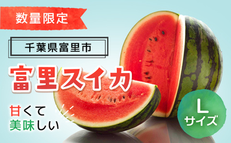 【数量限定】富里スイカ(Lサイズ6～7kg)1玉  すいか100年 すいか スイカ 西瓜 千葉県 富里市 果物 フルーツ 採れたて とれたて 産地直送 農家直送 千葉県産 ちば 千葉すいか 千葉スイカ 富里 富里すいか 富里スイカ 甘い あまい 美味しい おいしい 大玉 大玉すいか 大玉スイカ TMF005 