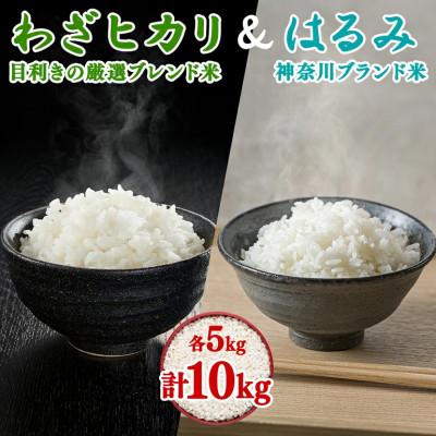 ふるさと納税 伊勢原市 【先行受付】令和8年産ブレンド米「わざヒカリ」と「はるみ」の10kg食べ比べセット 各5kg