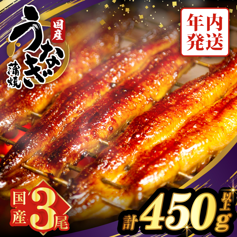 【年内発送】うなぎ蒲焼3尾(さんしょう・たれ付き)計450g以上_T026-014-12【鰻 魚 魚介 加工品 九州産 国産 人気 ギフト 食品 おかず 惣菜 高級 お土産 贈り物 送料無料 プレゼント】
