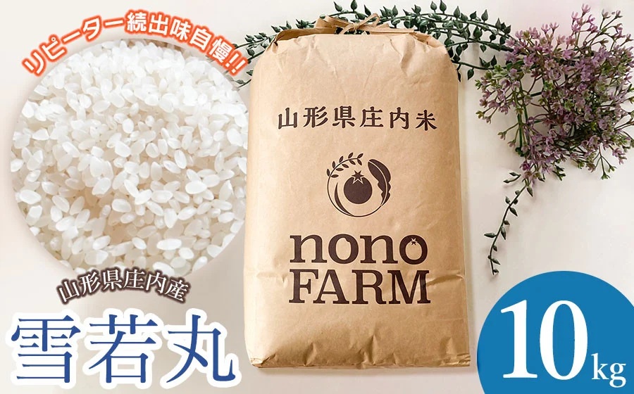 【令和7年産先行予約】山形県庄内産　特別栽培米雪若丸 精米 10kg（10㎏×1袋） 　野々ファーム