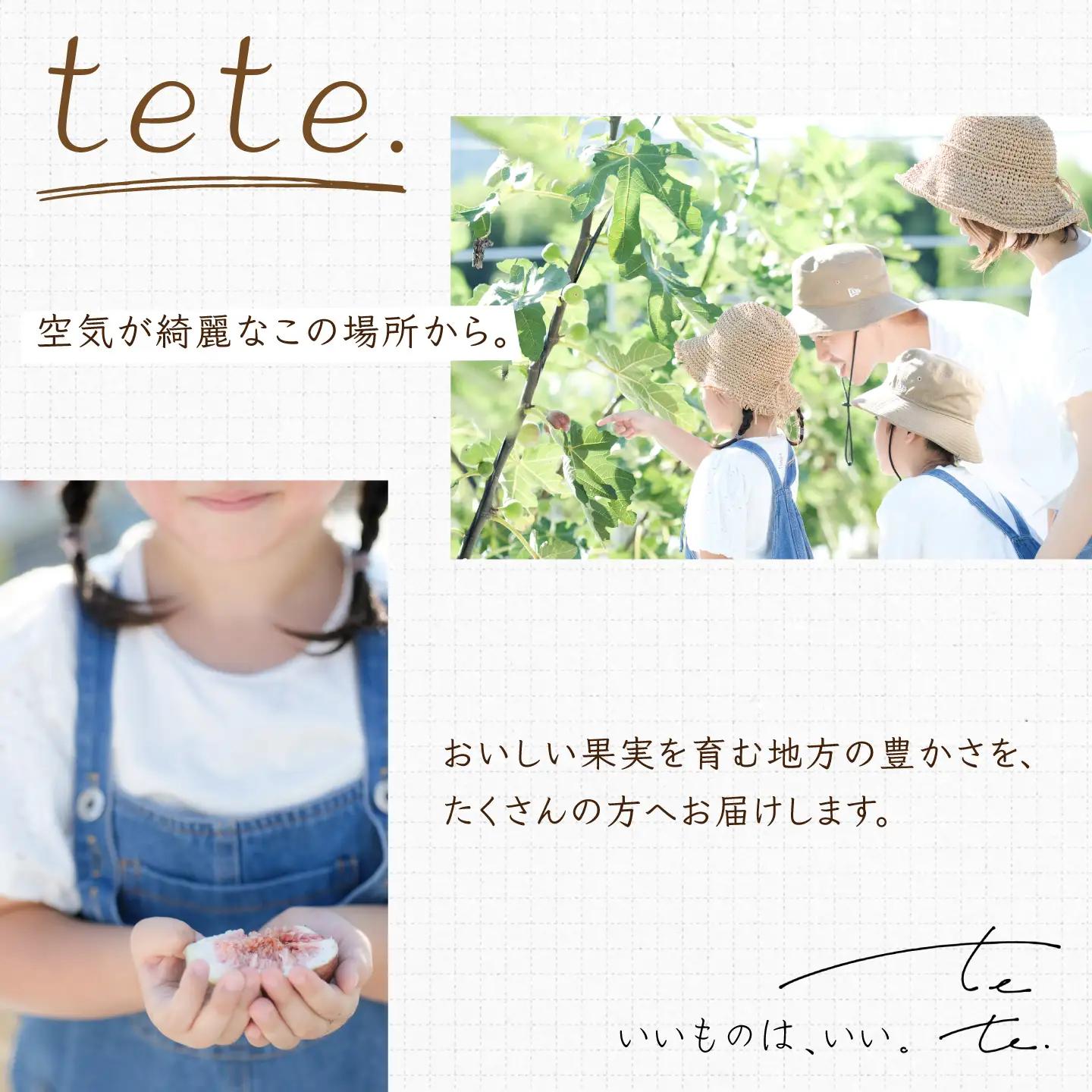 ＼申込期限は8月31日まで／【2回定期便】 完熟いちじく9-12玉（サイズおまかせ）『9月・10月お届け』/ tete.[ANJZ002]