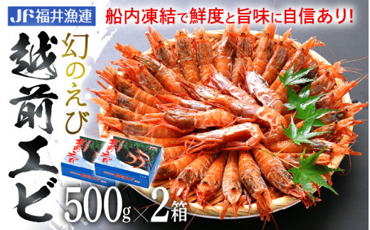 
[e12-b002] 「幻のえび」 越前エビ 1kg （500g × 2箱） 船内凍結 鮮度と旨味に自信あり！【 福井漁連 ブランド品 越前えび 1キロ 】
