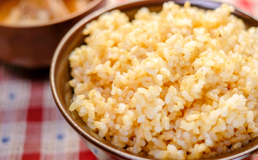 【令和7年産新米・早期受付】四万十清流の自然米　玄米5kg（コシヒカリ） 国産 新米 予約 こしひかり コシヒカリ 5kg 令和7年 2025年 自然米 玄米 げんまい 米 おこめ こめ ご飯 高知 