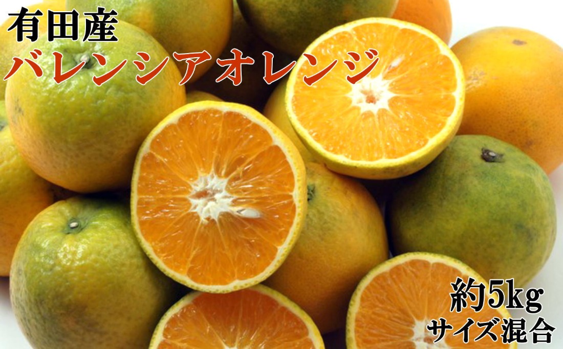 ［国産］有田産バレンシアオレンジ 約5kg（サイズ混合 秀・優品規格）★2027年7月中旬ごろより発送 BZ144