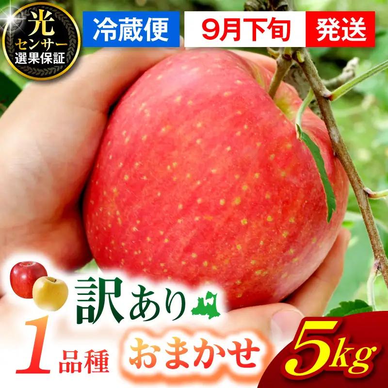 【2026年9月下旬発送】【訳あり】 旬の美味しい りんご 約5kg 青森県産 【おまかせ1品種】 りんご