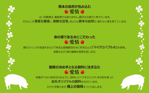 火の本豚 豚ロース3パック(100ｇ×5枚) | 熊本県 熊本 くまもと 和水町 なごみ 豚肉 肉 豚ロース ロース 冷凍 100g 小分け