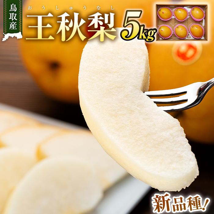 【ふるさと納税】【先行予約】梨 王秋梨 鳥取産 5kg ( 5kg × 1箱 ) | フルーツ 果物 くだもの 食品 人気 おすすめ 送料無料