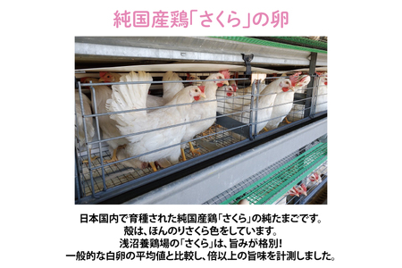 AJ013-1　純国産鶏【さくらともみじ】純たまご25個