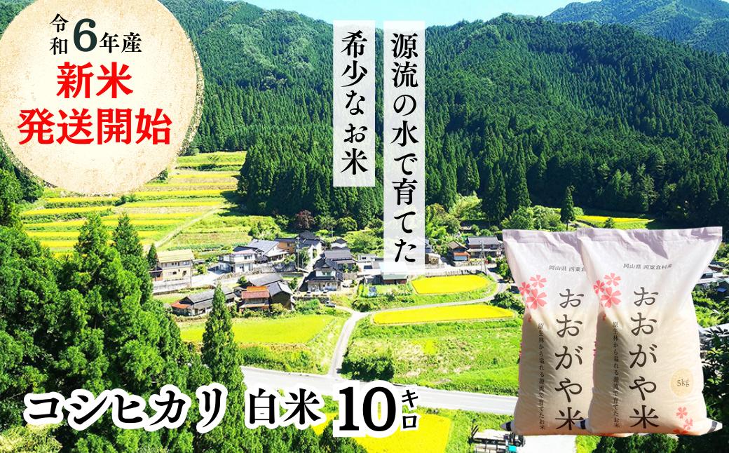 
白米 10kg 令和6年産 コシヒカリ 岡山 「おおがや米」生産組合 G-ag-ADCA
