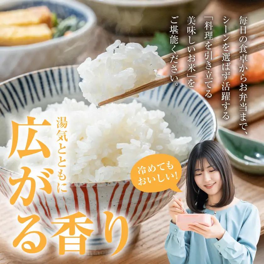 都城産ひのひかり5kg(5kg×1袋)〔12-N5-002-5kg〕_(都城市) 都城産 お米 5kg ひのひかりお弁当 おにぎり