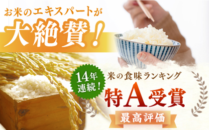 【特別栽培米】令和5年産 ももちゃんちのお米 さがびより 玄米 5kg【ももさき農産】 [HCG004]