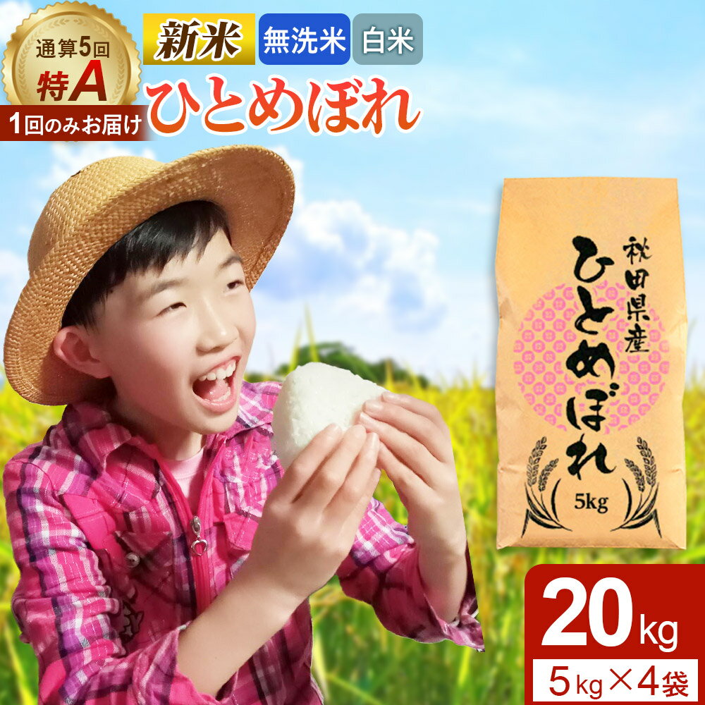【ふるさと納税】《1回のみお届け》令和7年産 【無洗米／白米】通算5回特A 秋田県産ひとめぼれ 20kg (5kg×4袋)