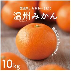 【先行予約】瀬戸内の温州みかん10kg　L～S　JA選果品【1644274】