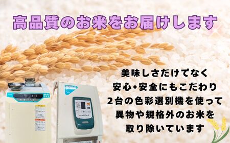 【先行予約】[令和7年産 新米]瑞穂 豊米（ゆたかまい） 精米 20kg（7-54A） 長野県 飯山市 おすすめ ランキング おいしい 高評価 大人気 こしひかり
