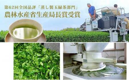 【数量限定】深蒸し茶 上級茶 詰合せ 100g×5本セット 【有限会社 佐とう製茶】[ZAS001]