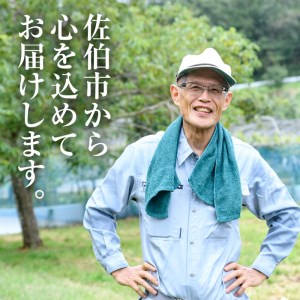 ＜先行予約受付中！2025年9月以降順次発送予定＞宇目葡萄 3種詰め合わせ(合計2kg・3-5房) 特産品 国産 ピオーネ 安芸クイーン ハニービーナス ぶどう 大分県 佐伯市【AY71】【(公財)さ
