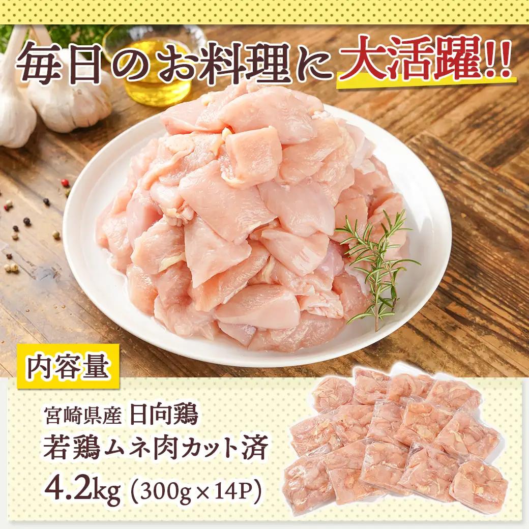 日向鶏 若鶏ムネ肉カット済4.2kg〔MJ-1562〕_(都城市) ムネ肉 4.2kg 宮崎県産 日向鶏若鶏 大容量 冷凍 唐揚げ チキン南蛮