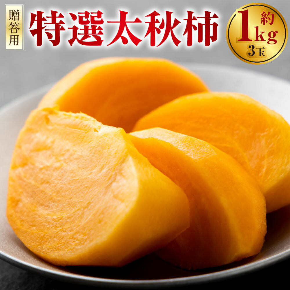 【ふるさと納税】特選太秋柿 3玉（約1kg） 贈答用 ギフト 完全甘柿 柿 かき カキ フルーツ くだもの 果物 果実 デザート 福岡県産 国産 九州 福岡県 うきは市 送料無料 【2026年11月上旬～12月上旬発送予定】