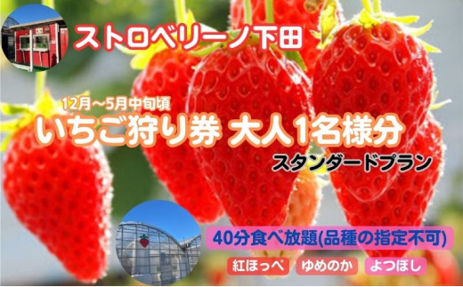 
ストロベリーノ下田いちご狩り券1名様（スタンダードプラン） [№5229-0367]
