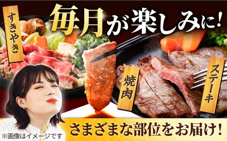 【牧場直送】【6回定期便】佐賀県産和牛 贅沢 赤身 定期便【有限会社セントラル牧場】[IAH084]