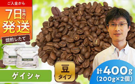 ゲイシャコーヒー(豆)　タラマンカス農園　200g×2 / 珈琲 コーヒー ゲイシャ / Coffee SAKURA[BBAB130]
