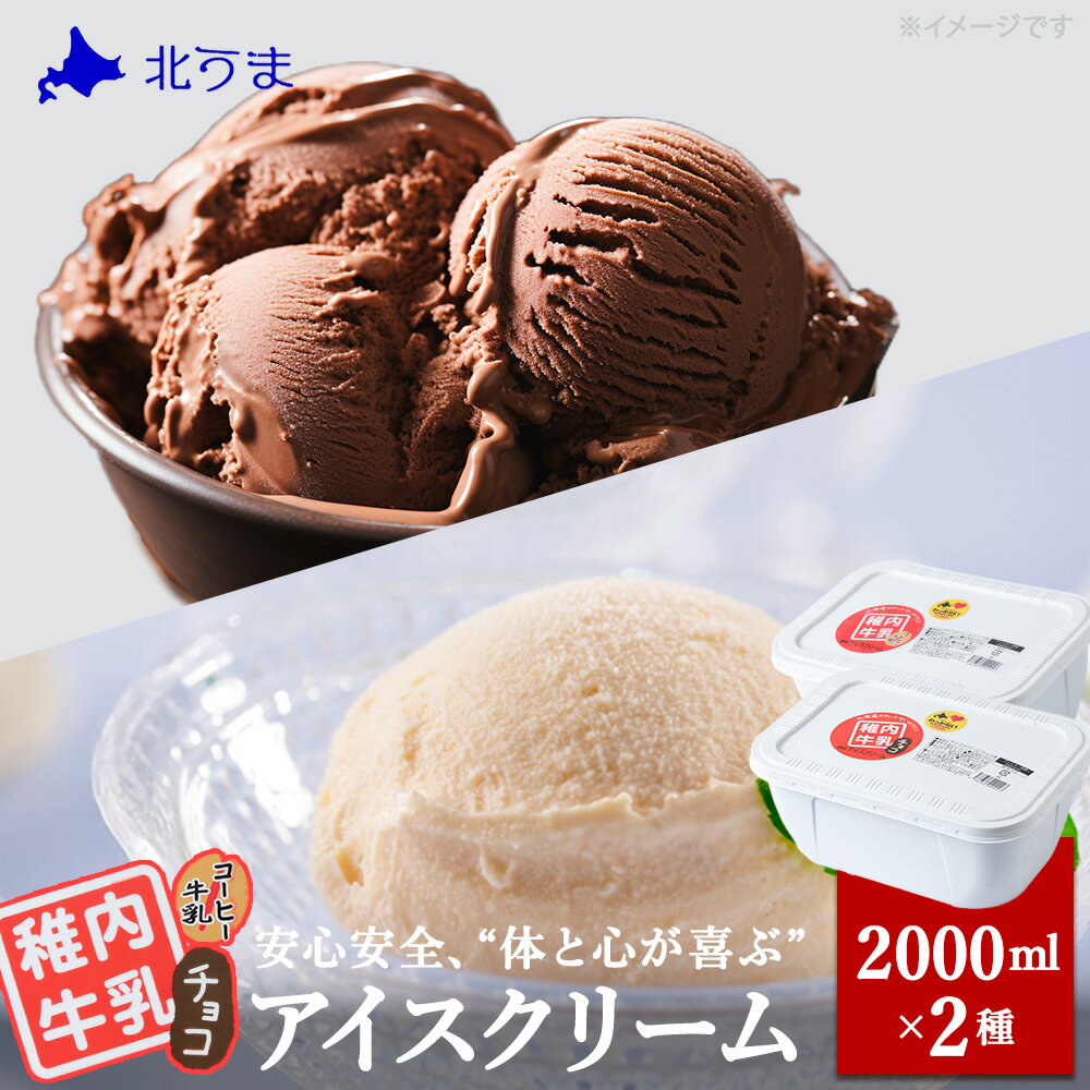 【ふるさと納税】【業務用】稚内牛乳アイスクリーム2000mlチョコ×コーヒー牛乳2個セットアイス アイスクリーム スイーツ デザート 氷菓 牛乳 北海道ふるさと納税 稚内 ふるさと納税 北海道 【配送不可地域：離島・沖縄県】