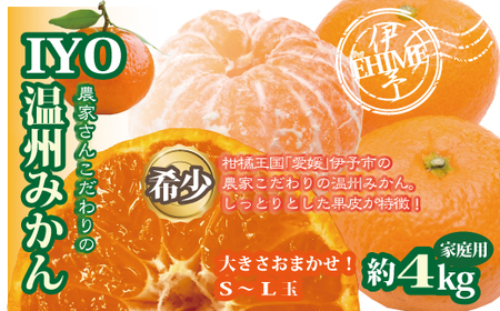 【2026年先行予約】みかん 愛媛 早生みかん 約4kg 【2026年12月上旬より順次発送予定】人気 数量限定 柑橘 伊予市｜B173