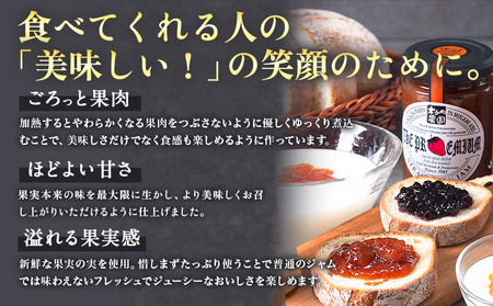 阿蘇 木之内農園 プレミアムシリーズ 3本セット 1本 150g×3 いちご ブルーベリー 不知火マーマレード《30日以内に出荷予定(土日祝を除く)》 熊本県 南阿蘇村 ジャム いちご ブルーベリー 