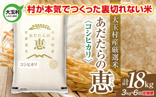 米 大玉村産厳選米「あだたらの恵」（品種：コシヒカリ） 計18kg 《 令和7年産  》 定期便 ( 全6回 × 3kg ) ｜ 福島 大玉村 お米 米作り こしひかり 令和7年 精米 白米 こめ コメ ご飯 送料無料 大玉村農業振興公社 ｜ on-ak-3kg-t6-r7