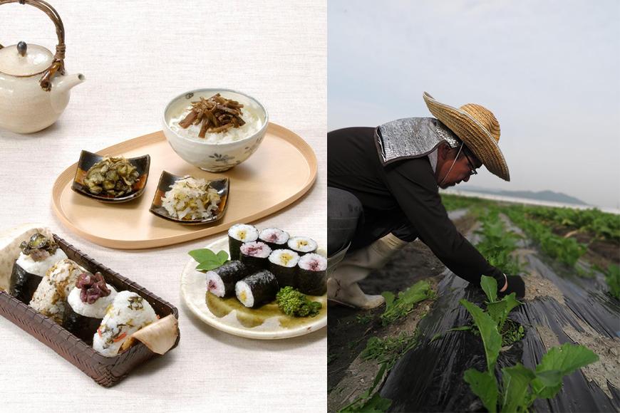 【京つけものもり】京漬物詰合せ7品｜京都 漬物 野菜 人気［ 京都 漬物 つけもの 漬け物 野菜 京野菜 セット 人気 おすすめ お取り寄せ 通販 送料無料 ふるさと納税 ］