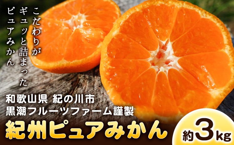 
                  紀州ピュアみかん100 3kg 黒潮フルーツファーム《11月下旬-12月下旬頃出荷》和歌山県 紀の川市 みかん フルーツ 果物
                