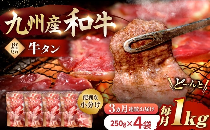 
            国産牛タン定期便【3回定期便】九州産和牛の牛タン約1kg（約250g×4パック）国産 牛タン和牛長与町/岩永ホルモン [EAX081]国産 牛肉 和牛 タン 牛タン 塩だれ牛タン 塩ダレ 牛たん塩 味付き ぎゅうたん ギュウタン 薄切り スライス 味付き 塩 焼肉 焼き肉 冷凍 焼くだけ 簡単調理 小分け 真空 定期便 ていきびん 定期 毎月 届く
          