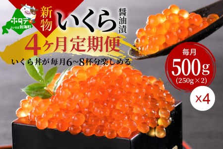 【定期便 全4回】高評価☆5.00！鮭いくら醤油漬け 合計 2kg（ いくら定期便 イクラ定期便 定期便 北海道定期便 人気定期便 ）