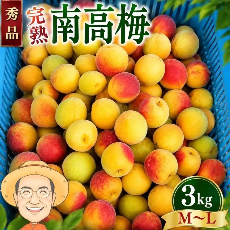 【秀品】完熟 南高梅 約3kg (＋補償100g) M～L以上 カキエモン農園 【2027年6月中旬～6月下旬頃順次発送】 和歌山産 梅干し 梅酒 梅シロップ 果実 うめ 梅 ウメ カキエモン 農園 送料無料 なんこううめ なんこうばい なんこう梅 加工用 家庭用 紀州【BX-kkem042】