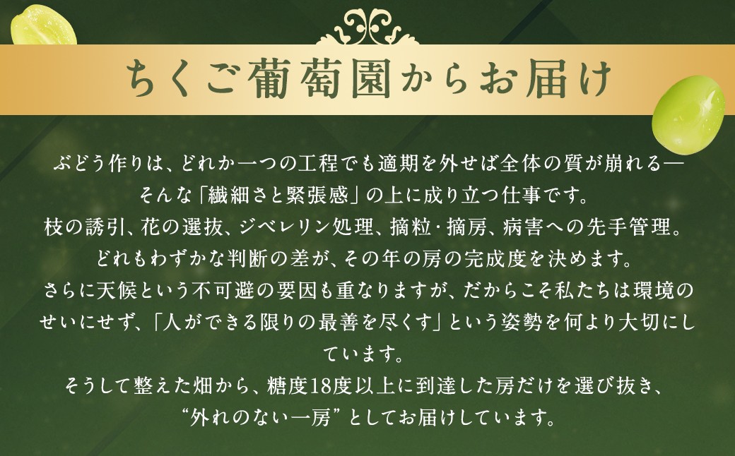 【贈答用】福岡県産 シャインマスカット 糖度18度以上・大粒15g以上 桐箱入り 650g前後（1房）