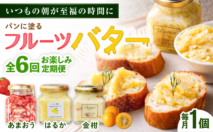 
                  【全6回定期便】お楽しみ定期便 フルーツバター大1個 糸島市/糸島正キ ジャム クリーム 果物 [AQA063]
                